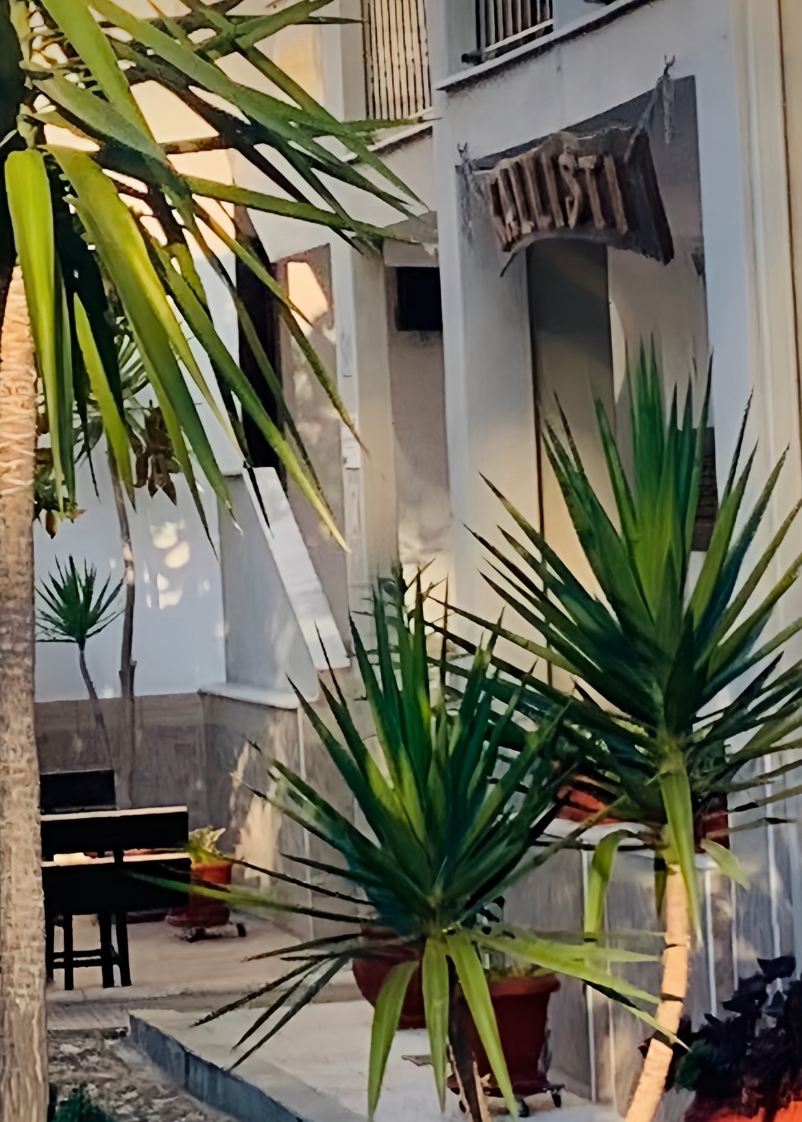 IMG_5853 5 IMG_5853 5